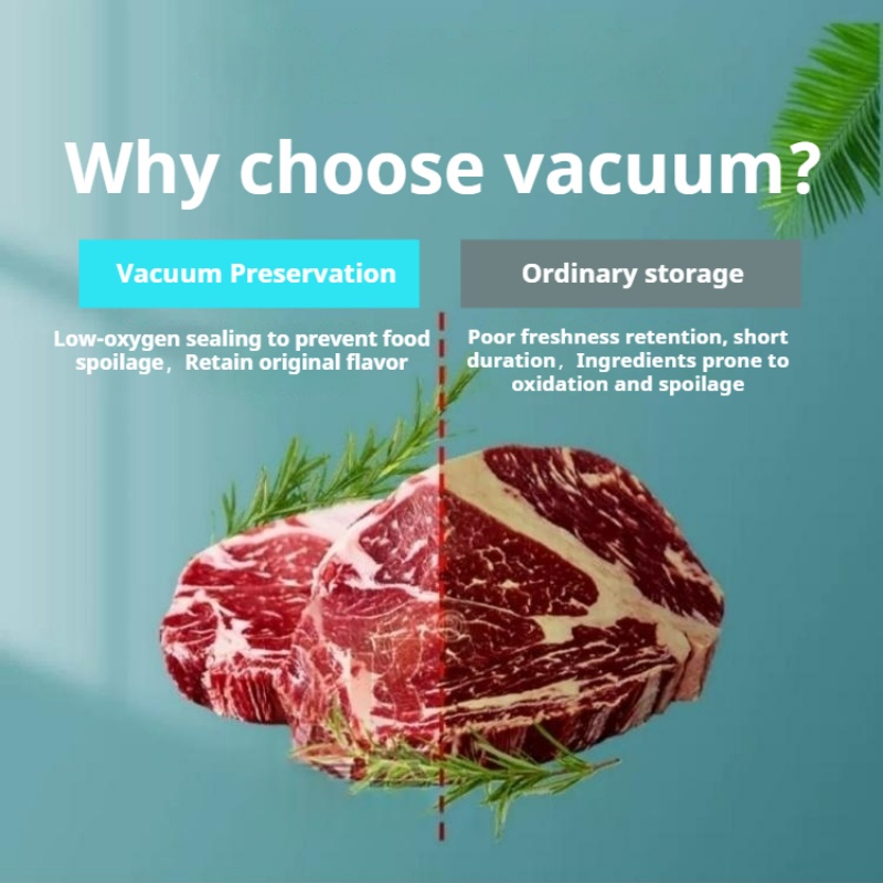 Table Top Chamber Vacuum Seale - đánh giá và giá Food Vacuum Sealer Machine